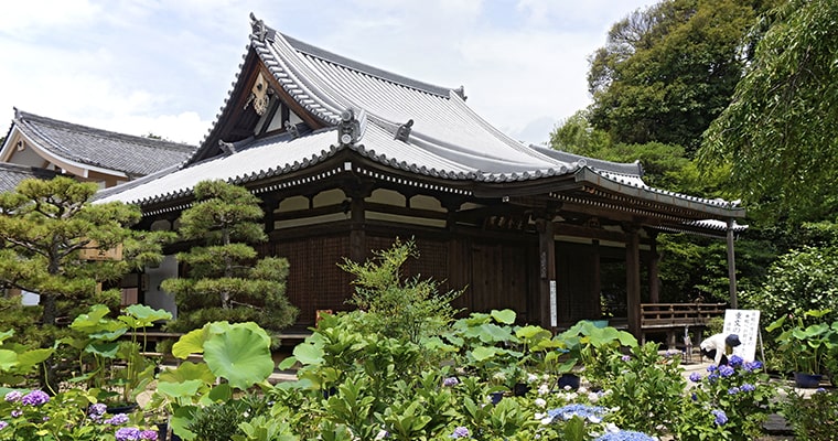 Jardín de paseo Hokongoin Tokio