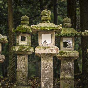 linternas japonesas