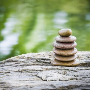 rocas jardin japones