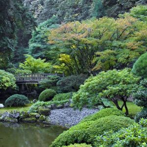 vegetación jardin japones