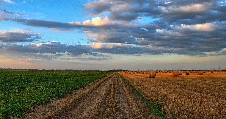 huertos rurales