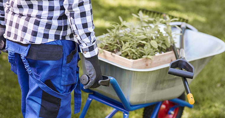 materia prima para construir el jardin acuatico