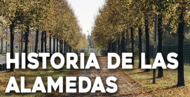 historia de las alamedas