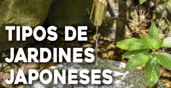 tipos de jardines japoneses