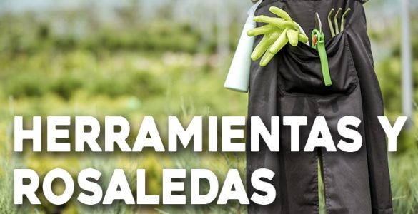 herramientas necesarias para hacer una rosaleda