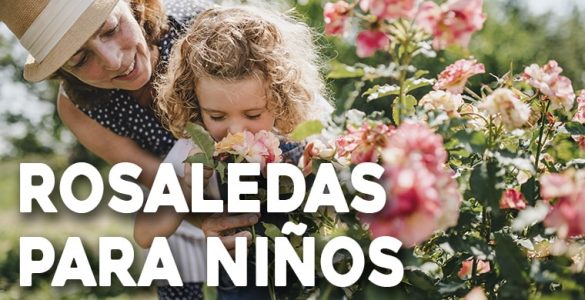 rosaledas para niños