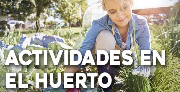 actividades para hacer en el huerto