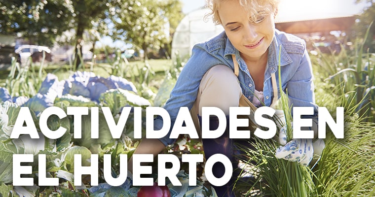 actividades para hacer en el huerto