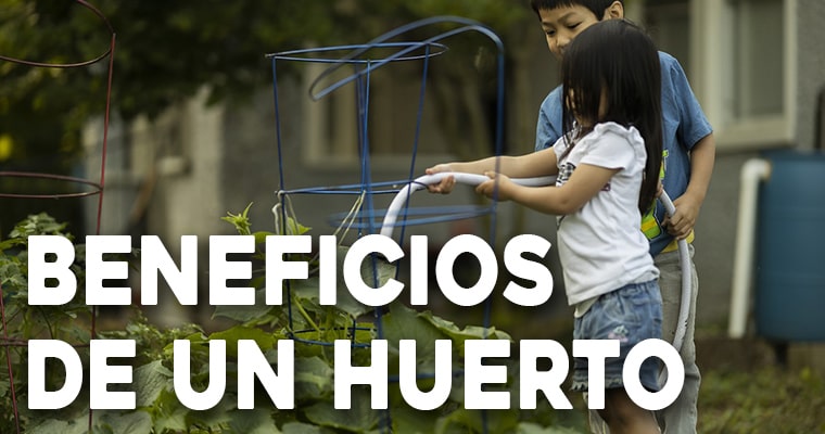 beneficios de tener un huerto