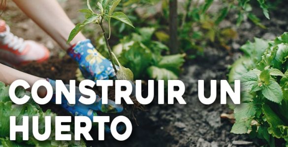 construir un huerto