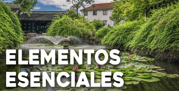 elementos esenciales de los jardines acuaticos