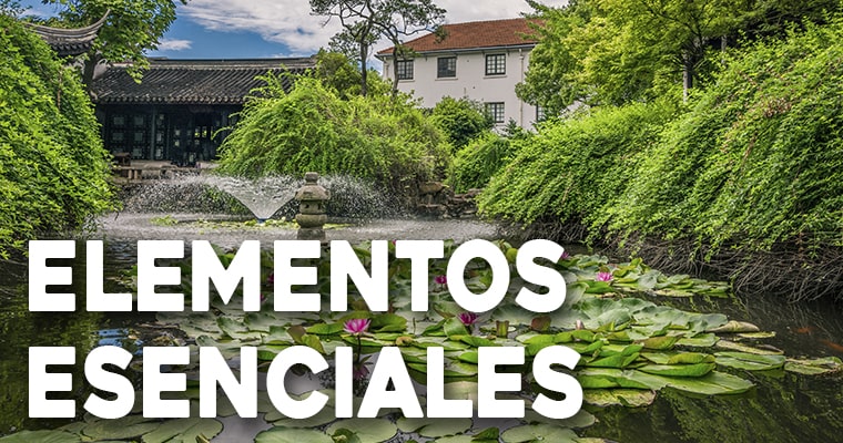 elementos esenciales de los jardines acuaticos