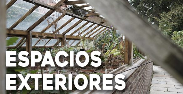 jardineria en macetas en espacios exteriores