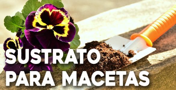 sustratos espaciales para macetas