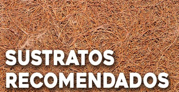 sustratos recomendados para huerto hidroponico