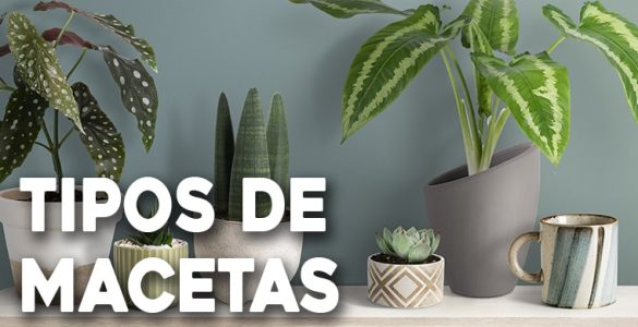 tipos de macetas para plantas