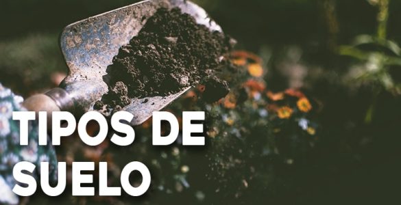 tipos de suelo huertos